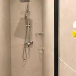 Leone Renove A 500m De La *