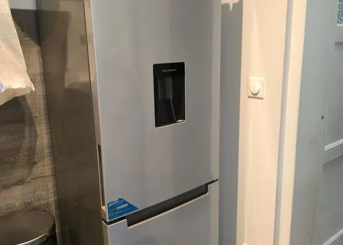 Leone Rénové à 500m De La Dunkirk